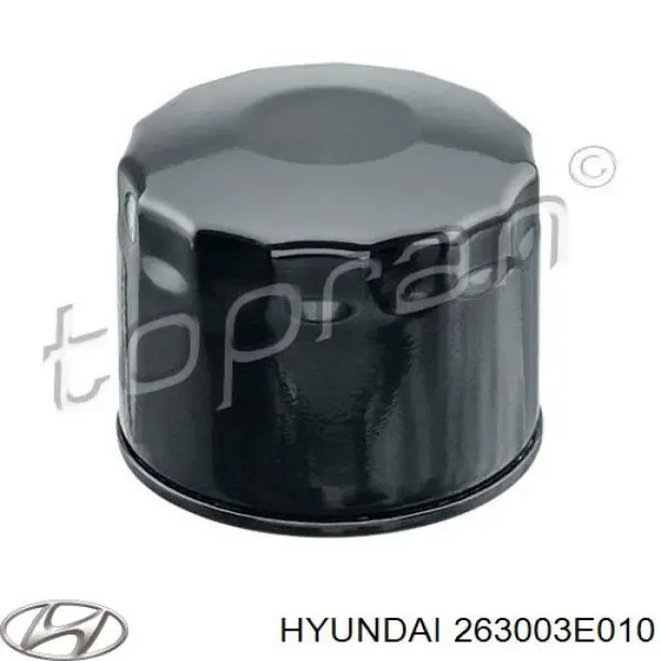 Фильтр масла Hyundai/Kia 263003E010
