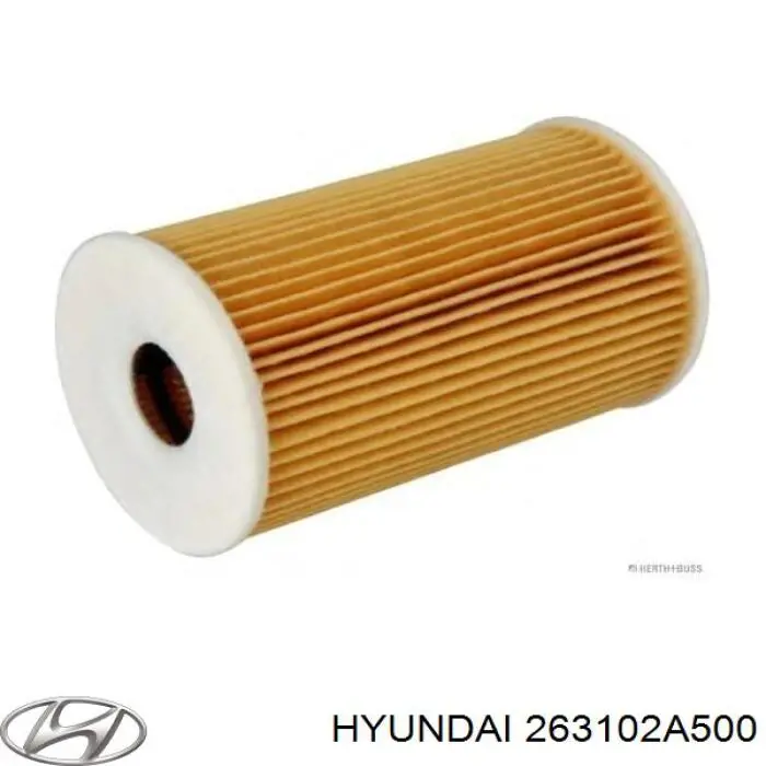 Купить 263102A500 Hyundai/Kia Корпус масляного фильтра