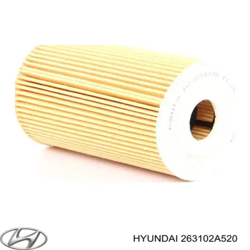 Масляный фильтр 263102A520 Hyundai/Kia