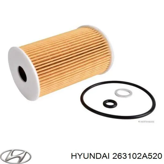 Filtro de aceite 263102A520 Hyundai/Kia