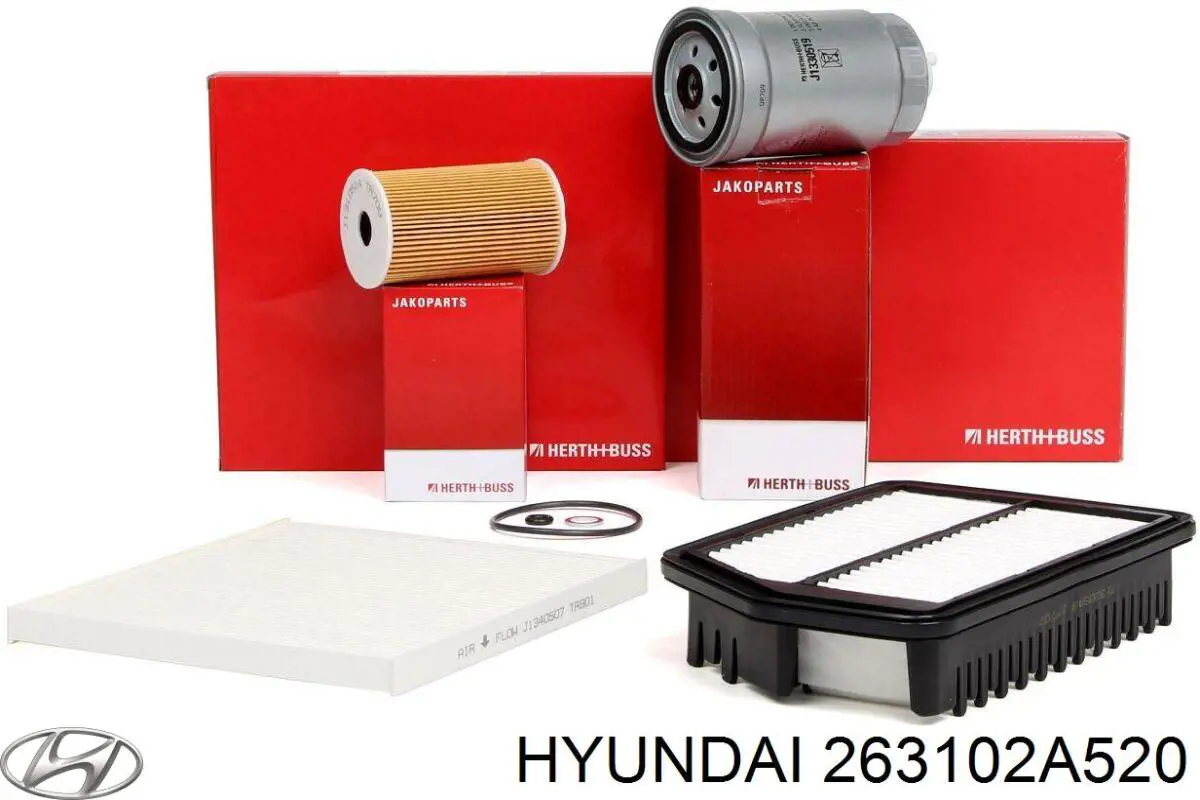 Фильтр очистки масла центробежный Hyundai/Kia 263102A520 цена, от 7.06 USD