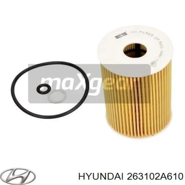 263102A610 Hyundai/Kia