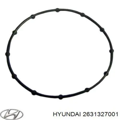 Vedante anular entre a caixa do filtro de óleo e o trocador de calor para Hyundai Elantra (XD)