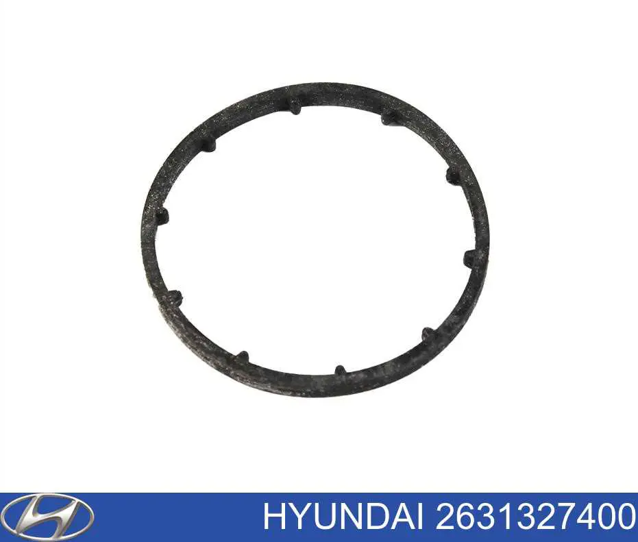 Кольцо уплотнительное между корпусом масляного фильтра и теплообменником на Hyundai Sonata NF