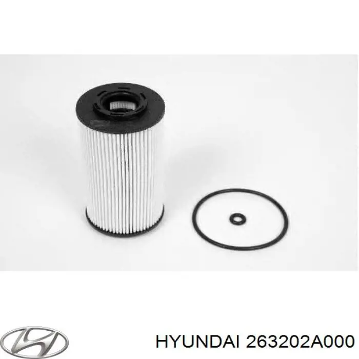Фильтр очистки масла центробежный Hyundai/Kia 263202A000 цена, от 3.89 USD