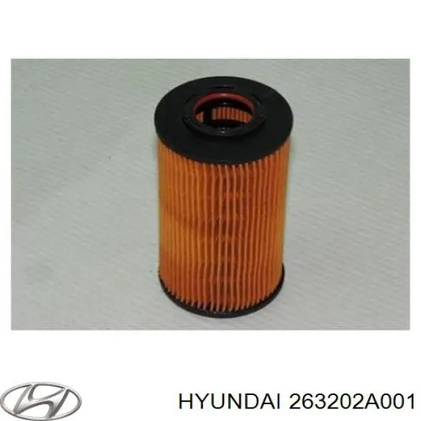 Фильтр масла Hyundai/Kia 263202A001