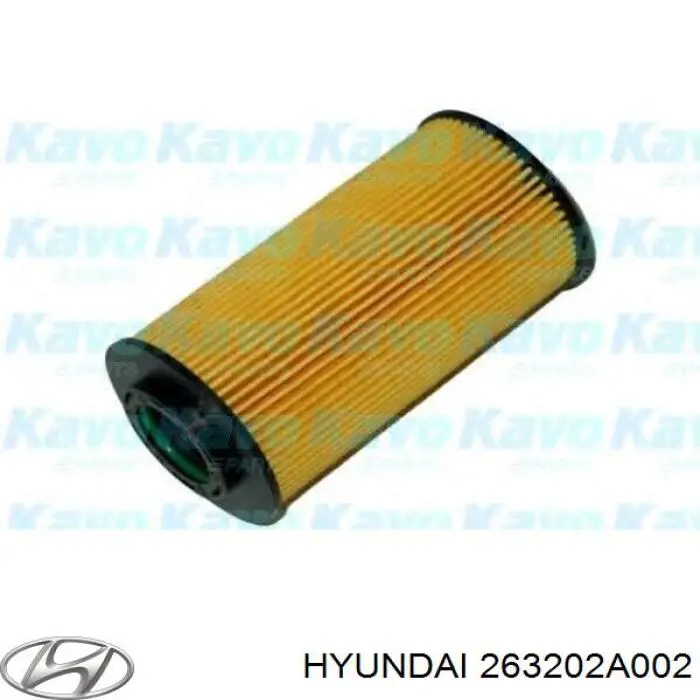 Фильтр масла Hyundai/Kia 263202A002