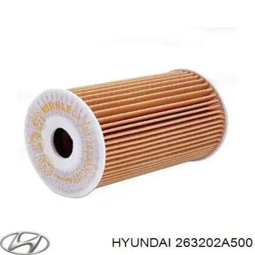 Фильтр масла Hyundai/Kia 263202A500