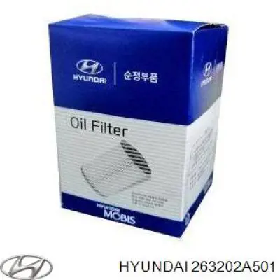Фильтр очистки масла центробежный Hyundai/Kia 263202A501 цена, от 7.18 USD