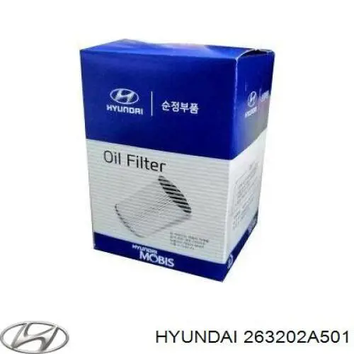 Купить 263202A501 Hyundai/Kia Фильтр центробежный очистки масла