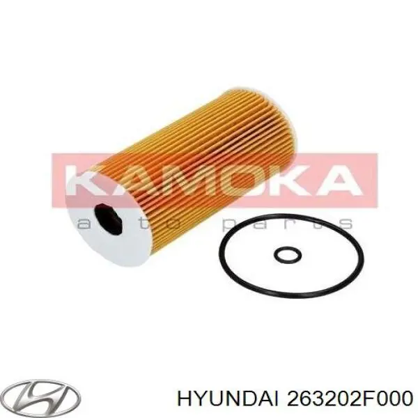Фильтр масла Hyundai/Kia 263202F000