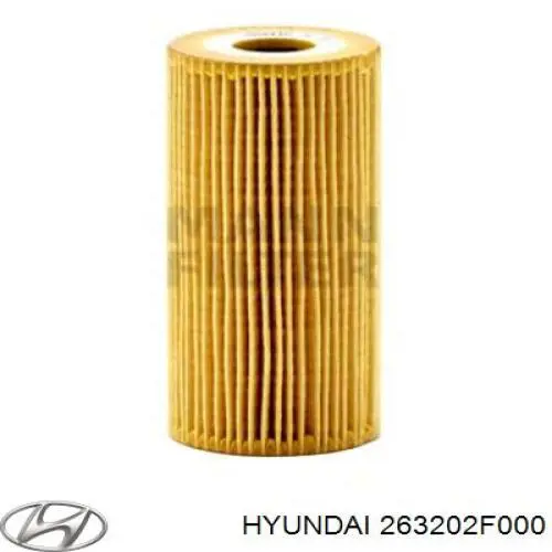 Купить 263202F000 Hyundai/Kia Фильтр центробежный очистки масла