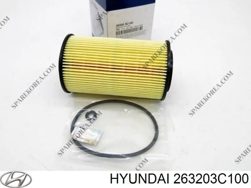 Filtro de óleo Hyundai/Kia 263203C100