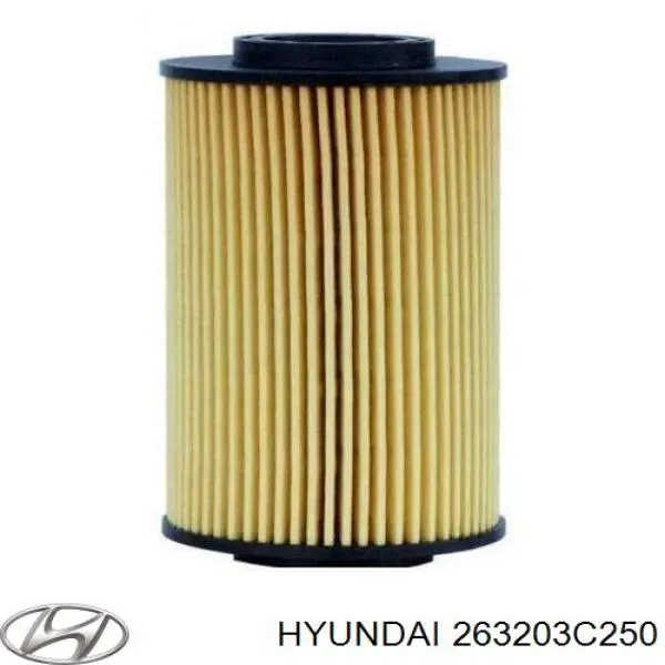 Купить 263203C250 Hyundai/Kia Фильтр центробежный очистки масла