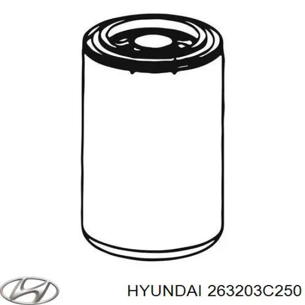 Купить 263203C250 Hyundai/Kia Фильтр центробежный очистки масла