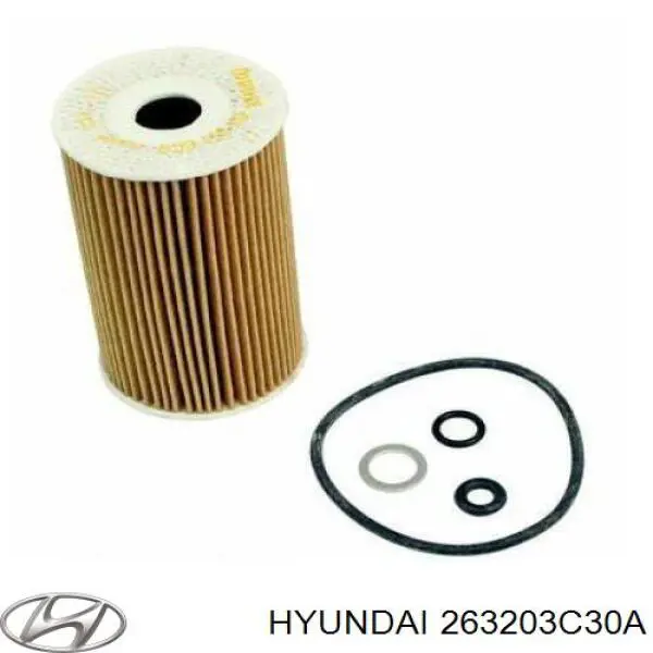 Купить 263203C30A Hyundai/Kia Фильтр центробежный очистки масла