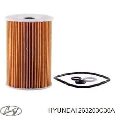 Купить 263203C30A Hyundai/Kia Фильтр центробежный очистки масла