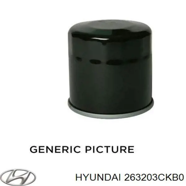 263203CKB0 Hyundai/Kia масляный фильтр