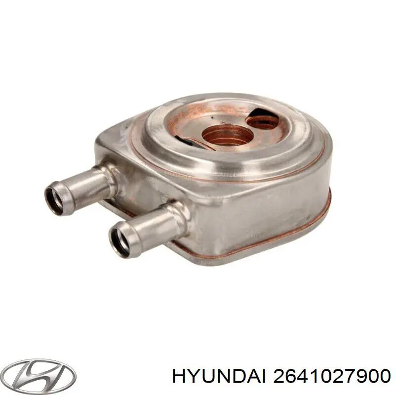 2641027900 Hyundai/Kia 