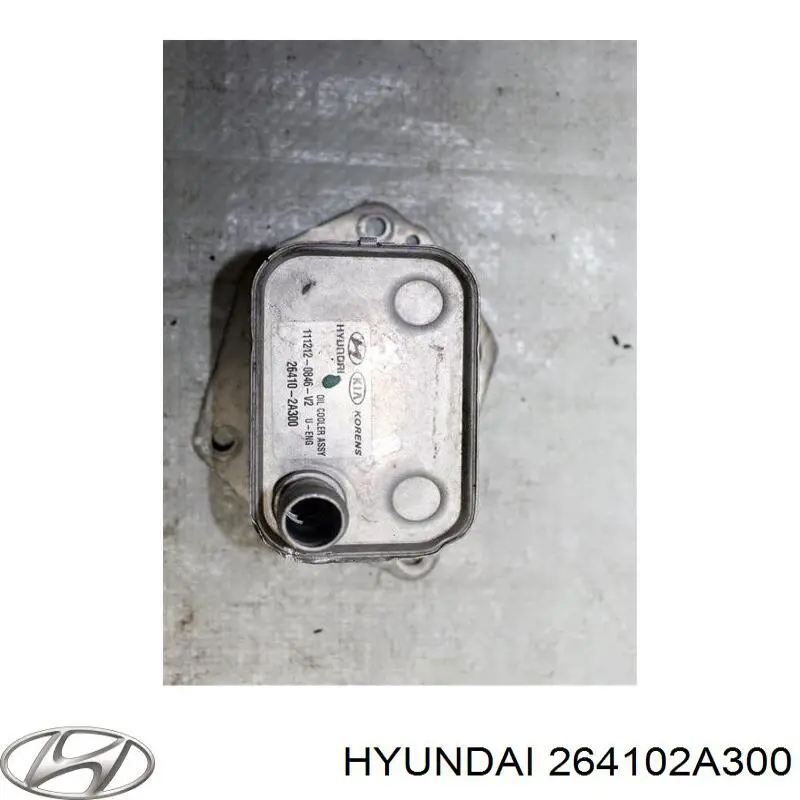 Радиатор масляный холодильник Hyundai/Kia 264102A300