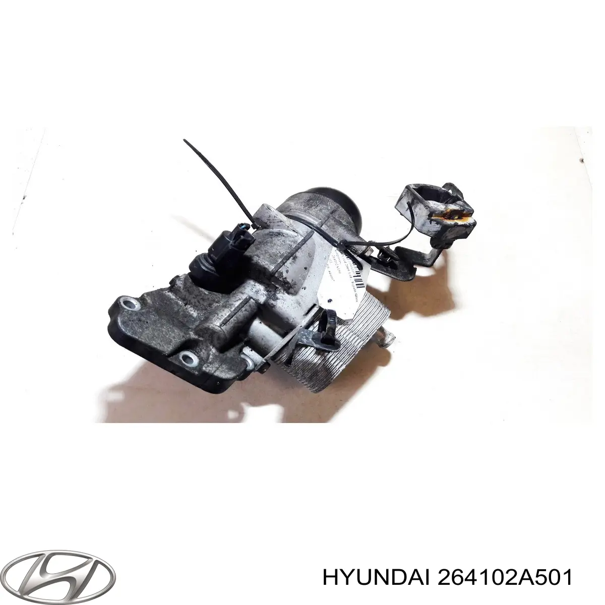 Радиатор масляный (холодильник), под фильтром 264102A501 Hyundai/Kia