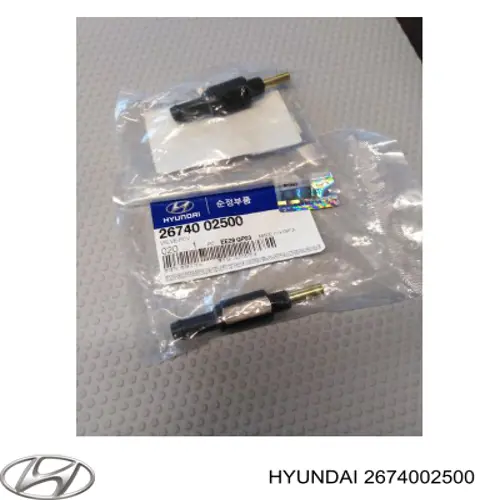 カーペンター　BF250 hyundai-2674002500-bp2f6e1d.webp
