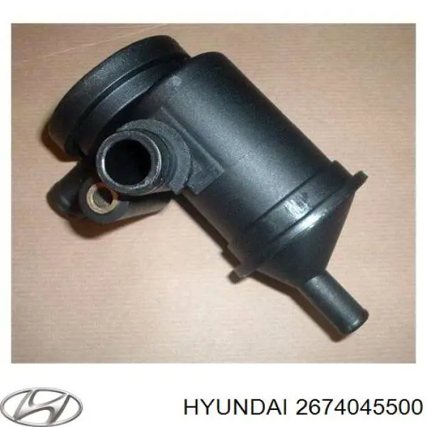 2674045500 Hyundai/Kia Маслоотделитель картерных газов