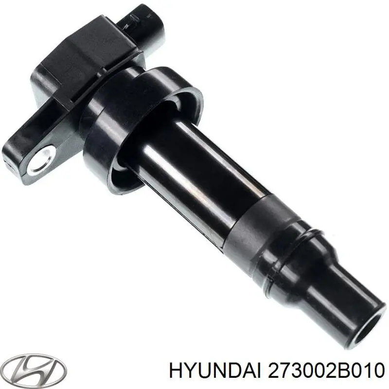 273002B010 Hyundai/Kia