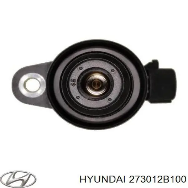 Катушка зажигания Hyundai/Kia 273012B100