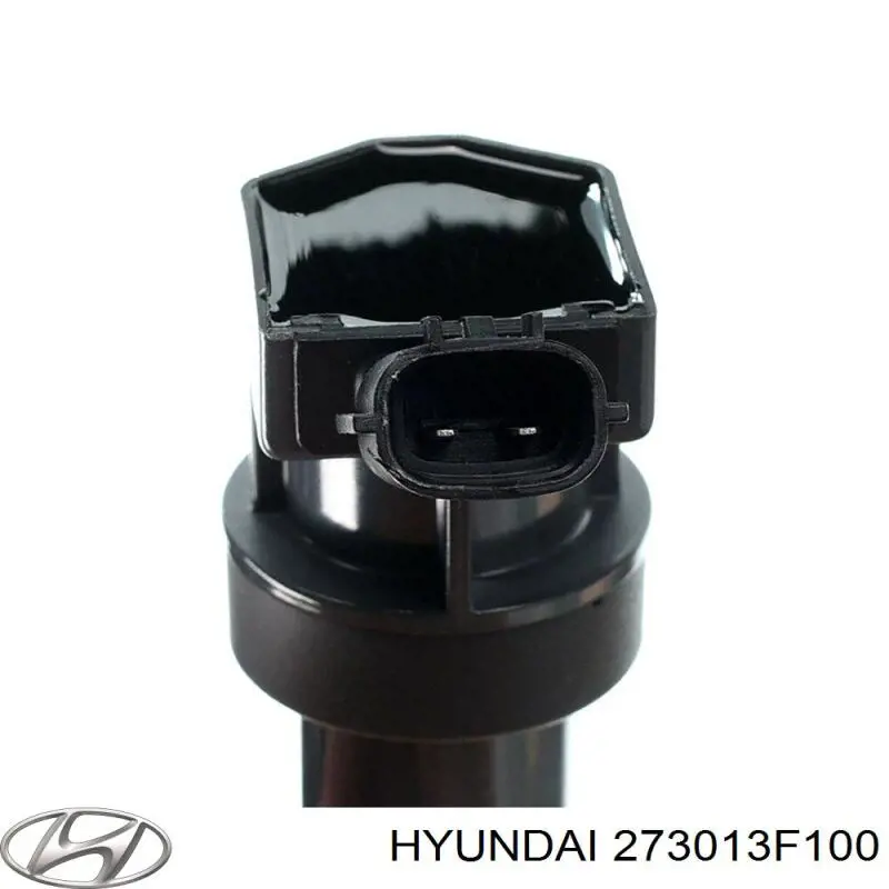 Купить 273013F100 Hyundai/Kia 