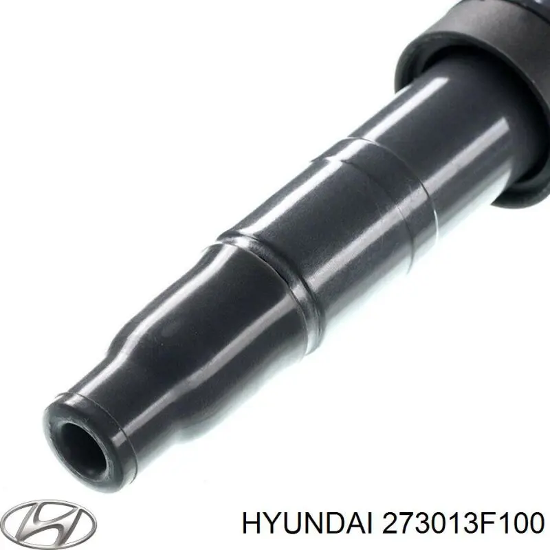  273013F100 Hyundai/Kia