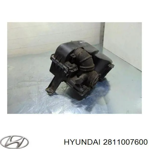 Купить 2811007600 Hyundai/Kia Корпус воздушного фильтра