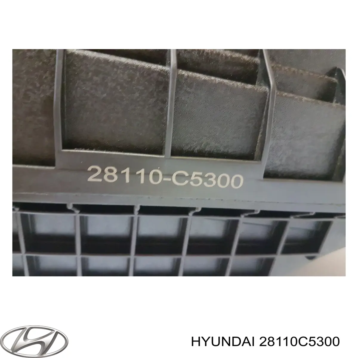 28110C5300 Hyundai/Kia Коробка фильтра