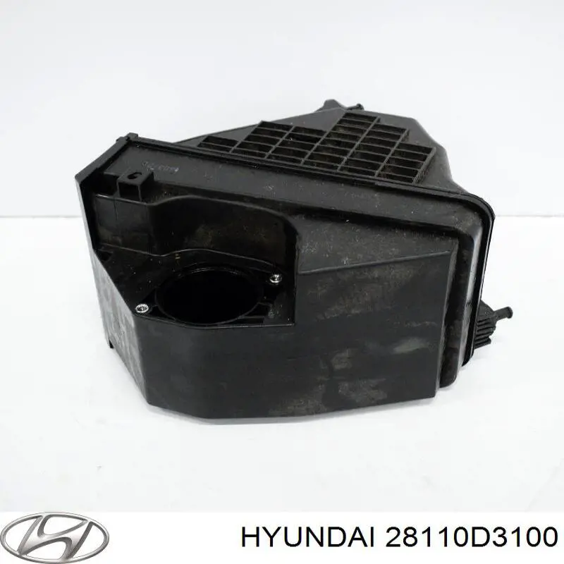Корпус воздушного фильтра в сборе Hyundai/Kia 28110D3100 цена, от 47.14 USD