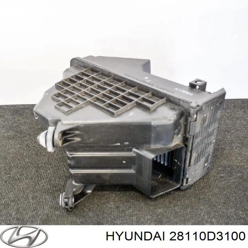 28110D3100 Hyundai/Kia Коробка фильтра