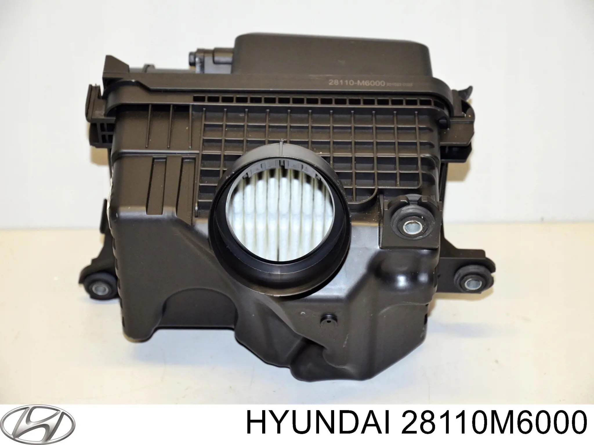  28110M6000 Hyundai/Kia