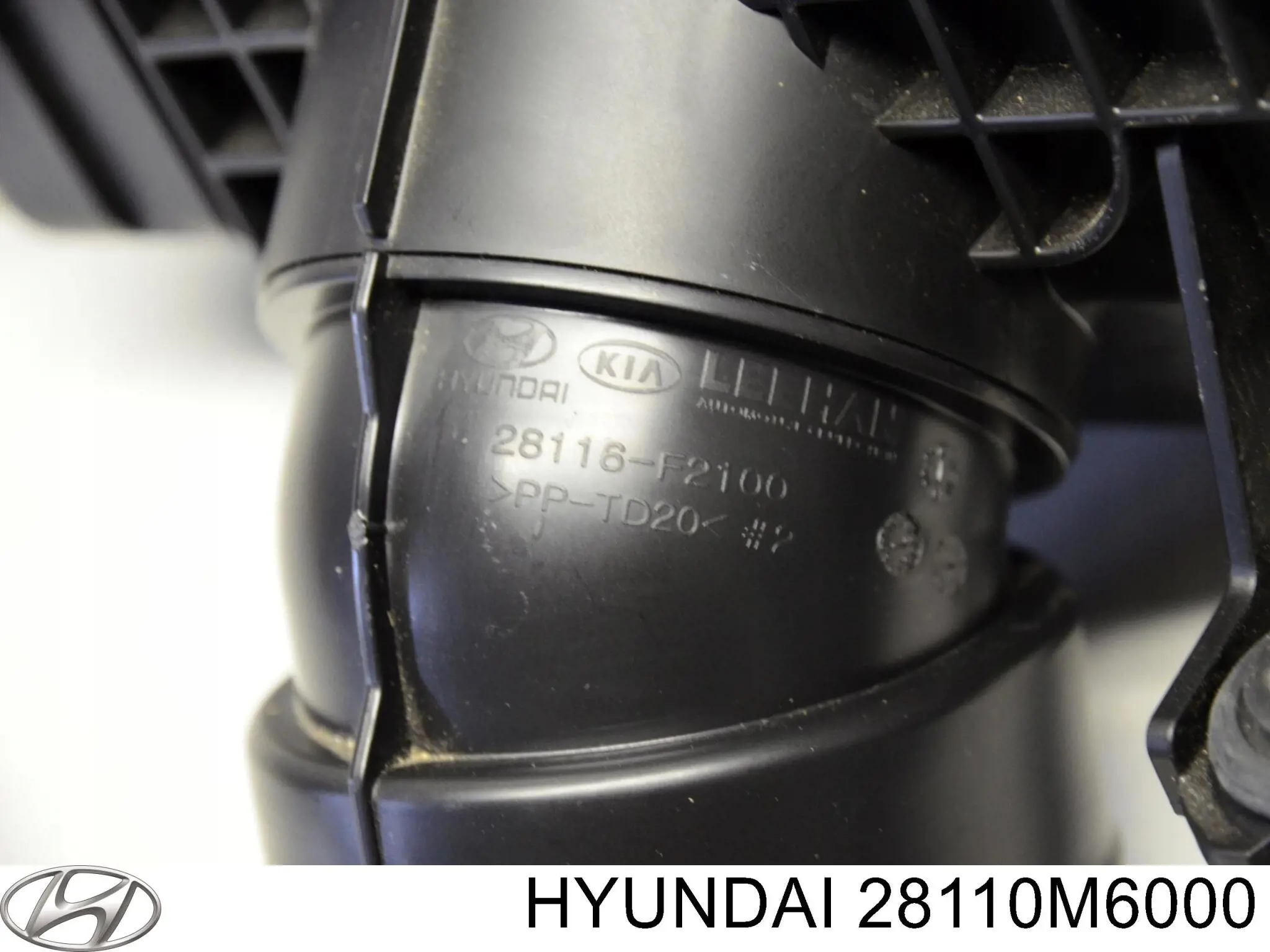 28110M6000 Hyundai/Kia Коробка фильтра