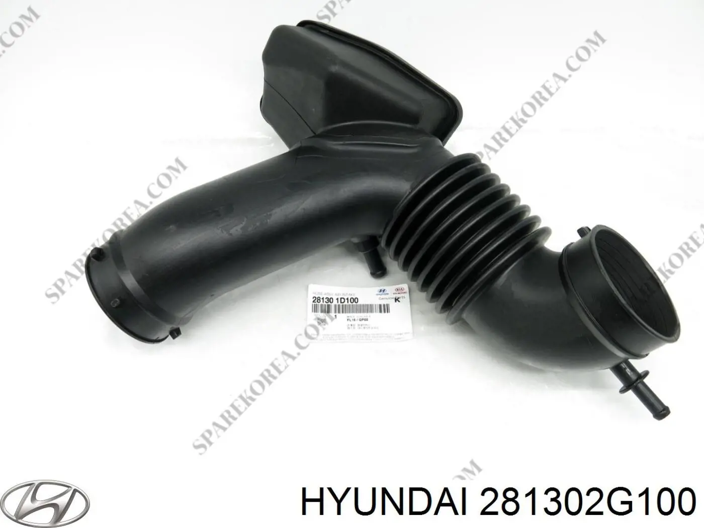 281302G100 Hyundai/Kia 