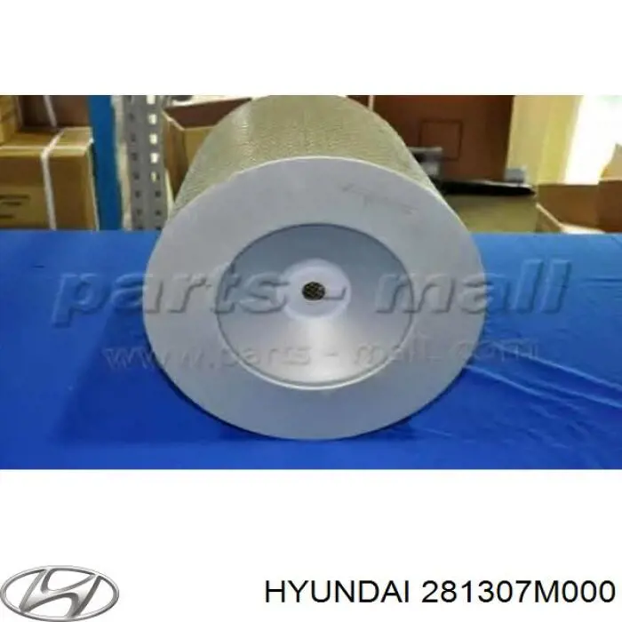 281307M000 Hyundai/Kia 