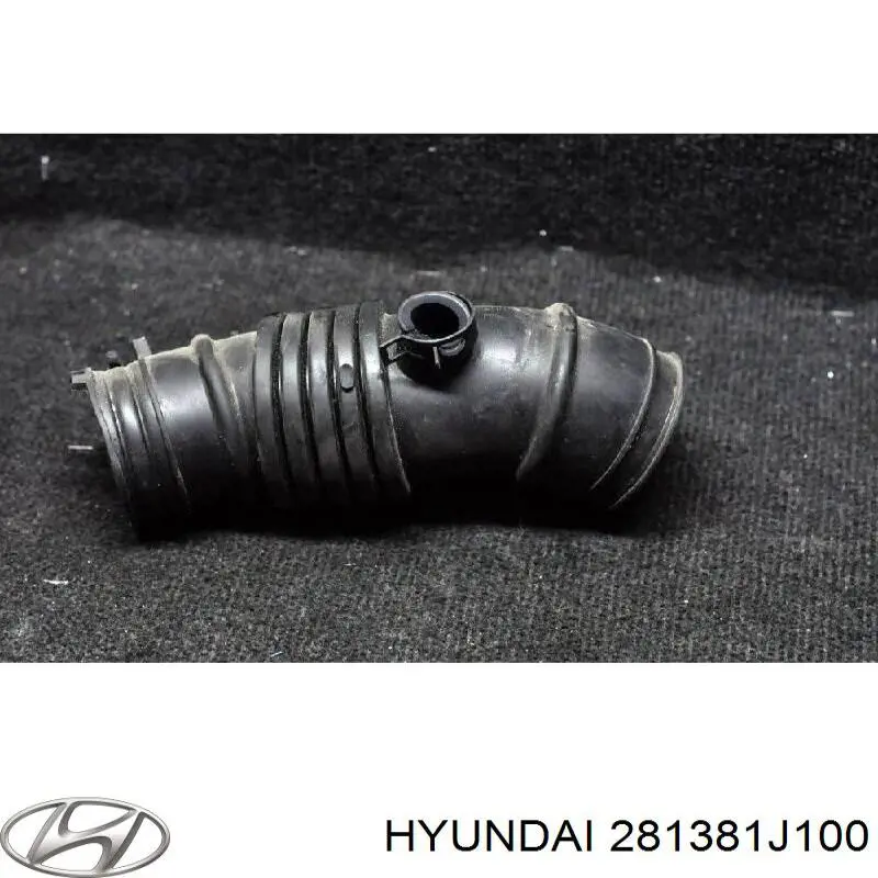 281381J100 Hyundai/Kia 
