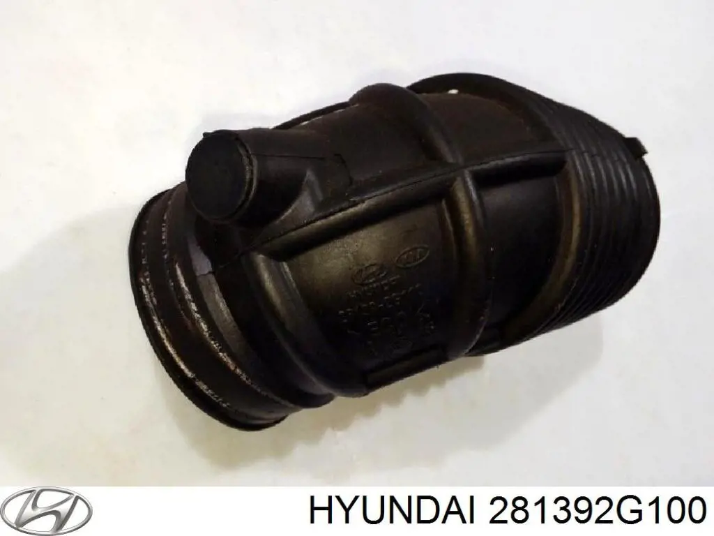 Купить 281392G100 Hyundai/Kia 