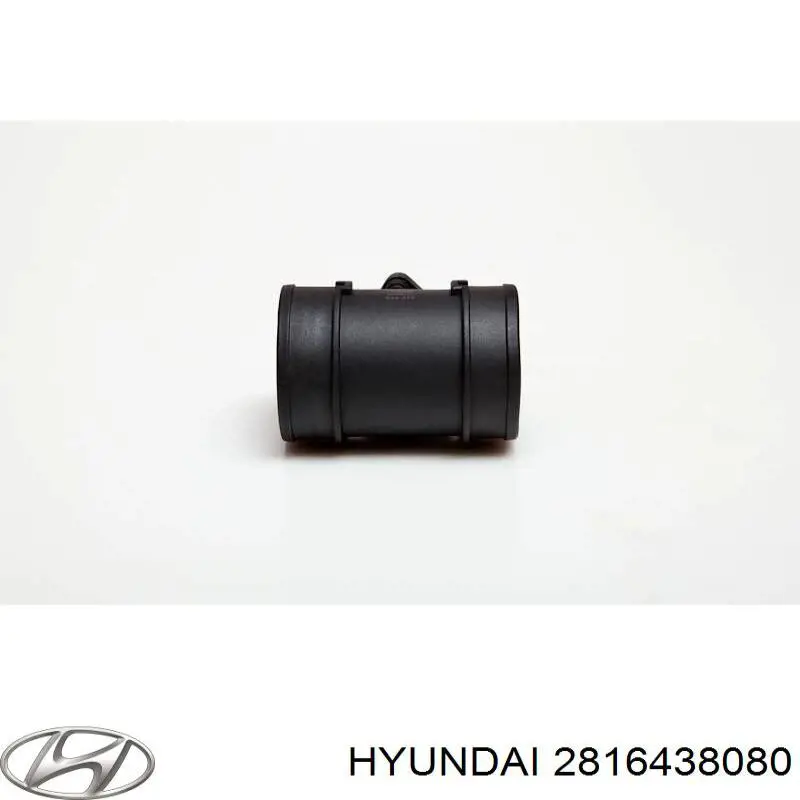 2816438080 Hyundai/Kia Датчик расхода воздуха
