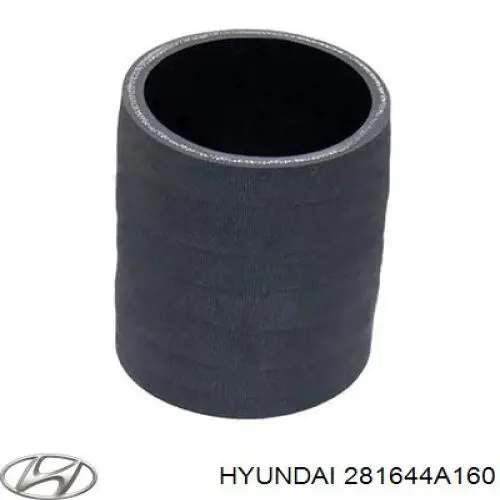 Шланг интеркуллера левый Hyundai/Kia 281644A160 цена, от 27.56 USD