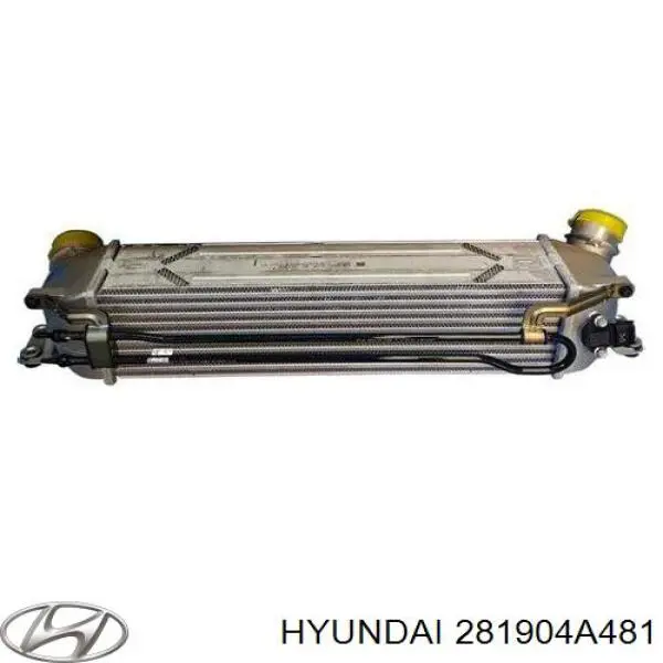 Система охлаждения наддувочного воздуха Hyundai/Kia 281904A481 цена, от 165.00 USD