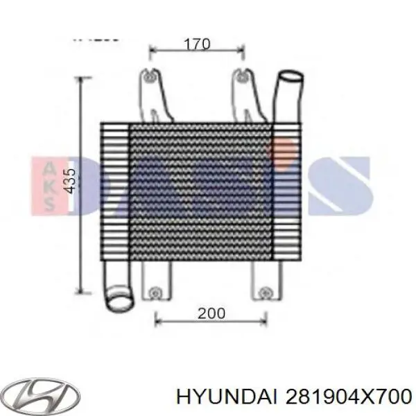 281904X700 Hyundai/Kia 