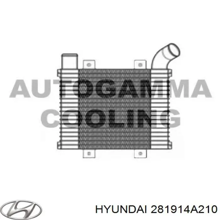 Купить 281904A21X Hyundai/Kia Интеркулер