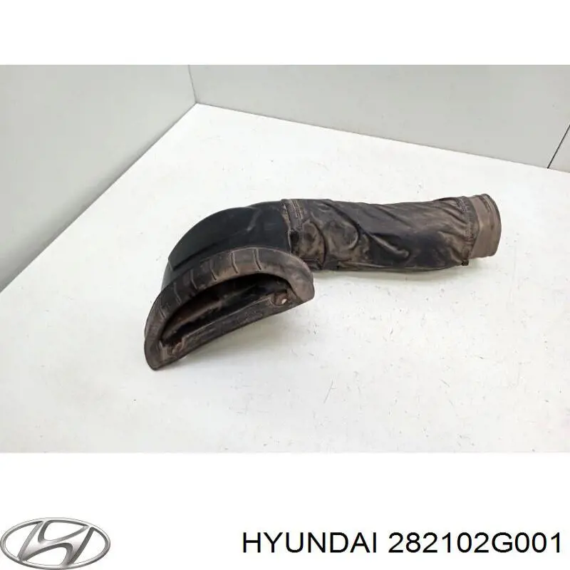 282102G001 Hyundai/Kia cano derivado de ventilação de cárter (de separador de óleo)