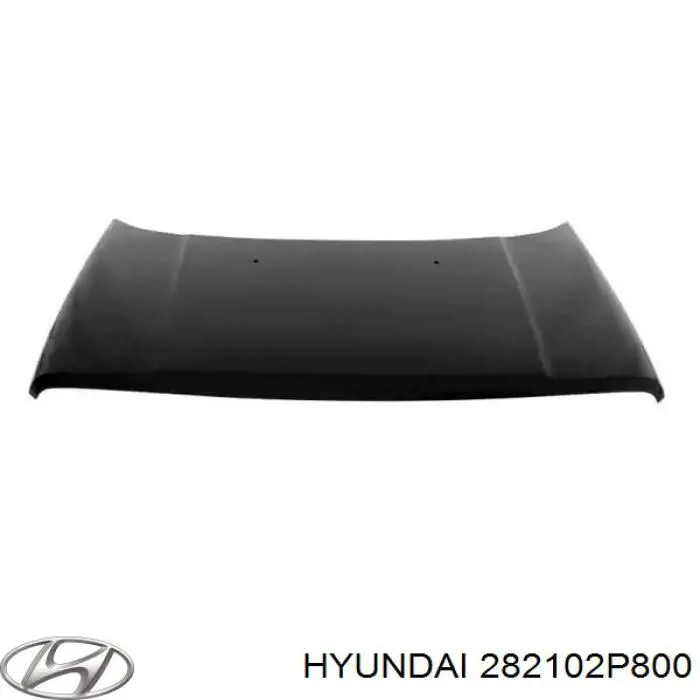  282102P800 Hyundai/Kia