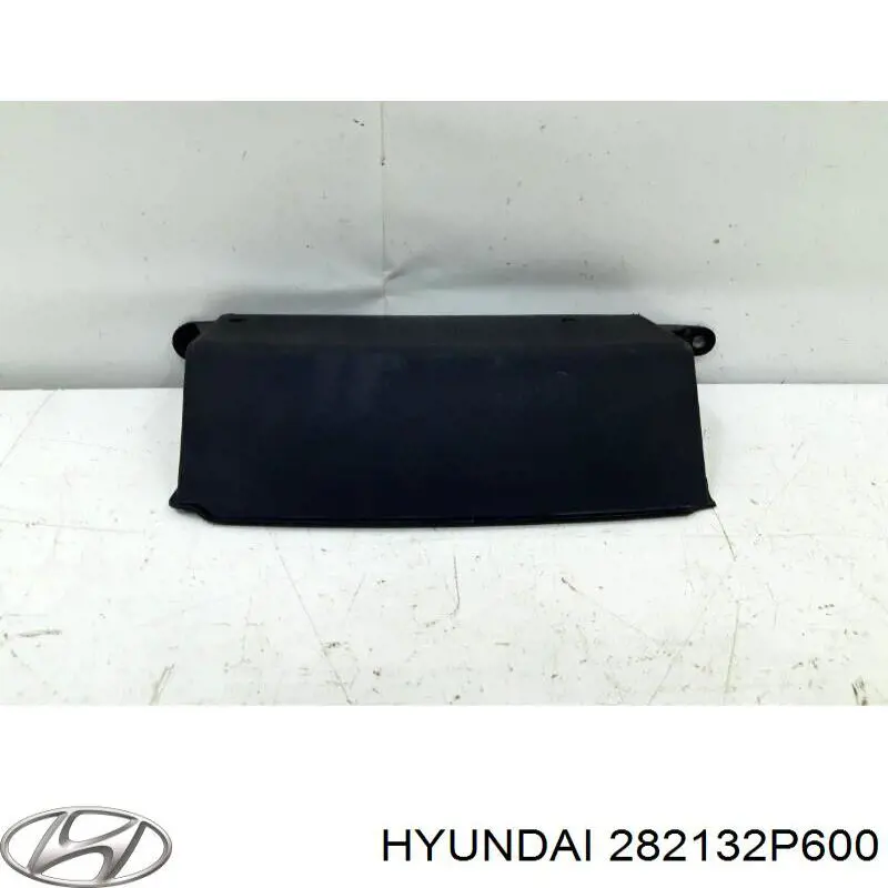  282132P600 Hyundai/Kia