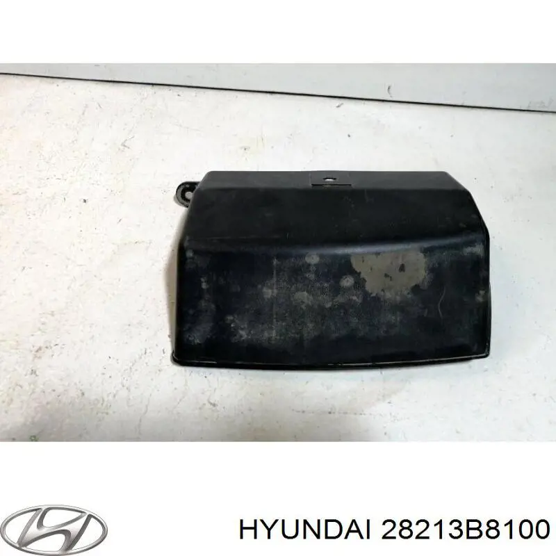 28213B8100 Hyundai/Kia Воздухозаборник воздушного фильтра